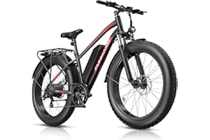 Funhang Electric Bike,1000W Peak Ebike, 25MPH 60Miles Ebikes for Adults with 48V 13AH Battery, 26" X4" Fat Tire Electric Bicy