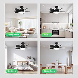 OSTIVE Socket Fan Light with Remote: 18'' Small