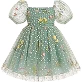 Toddler Flower Girl Wedding Dress Floral Embroidery Sheer Sleeve 2nd 3rd Birthday Outfits Princess Pageant Tulle Dress