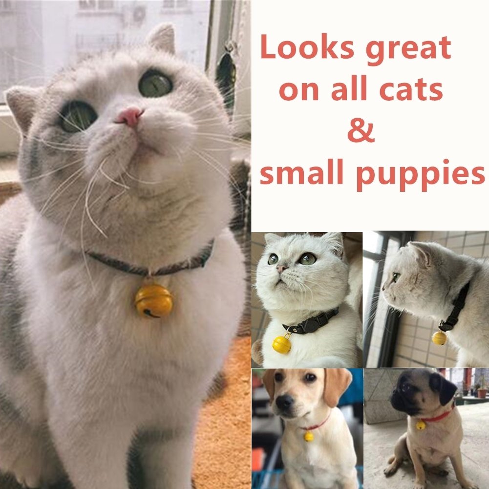 cat silencing collar