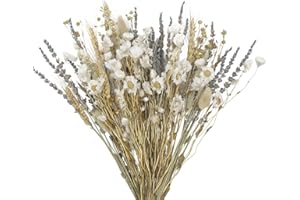 FAICOIA Dried Flowers Bouquet Natural Dried Daisy Flowers Lavender Bundles Dried Gerber Daisies Flowers Bunny Tails Wheat Sta