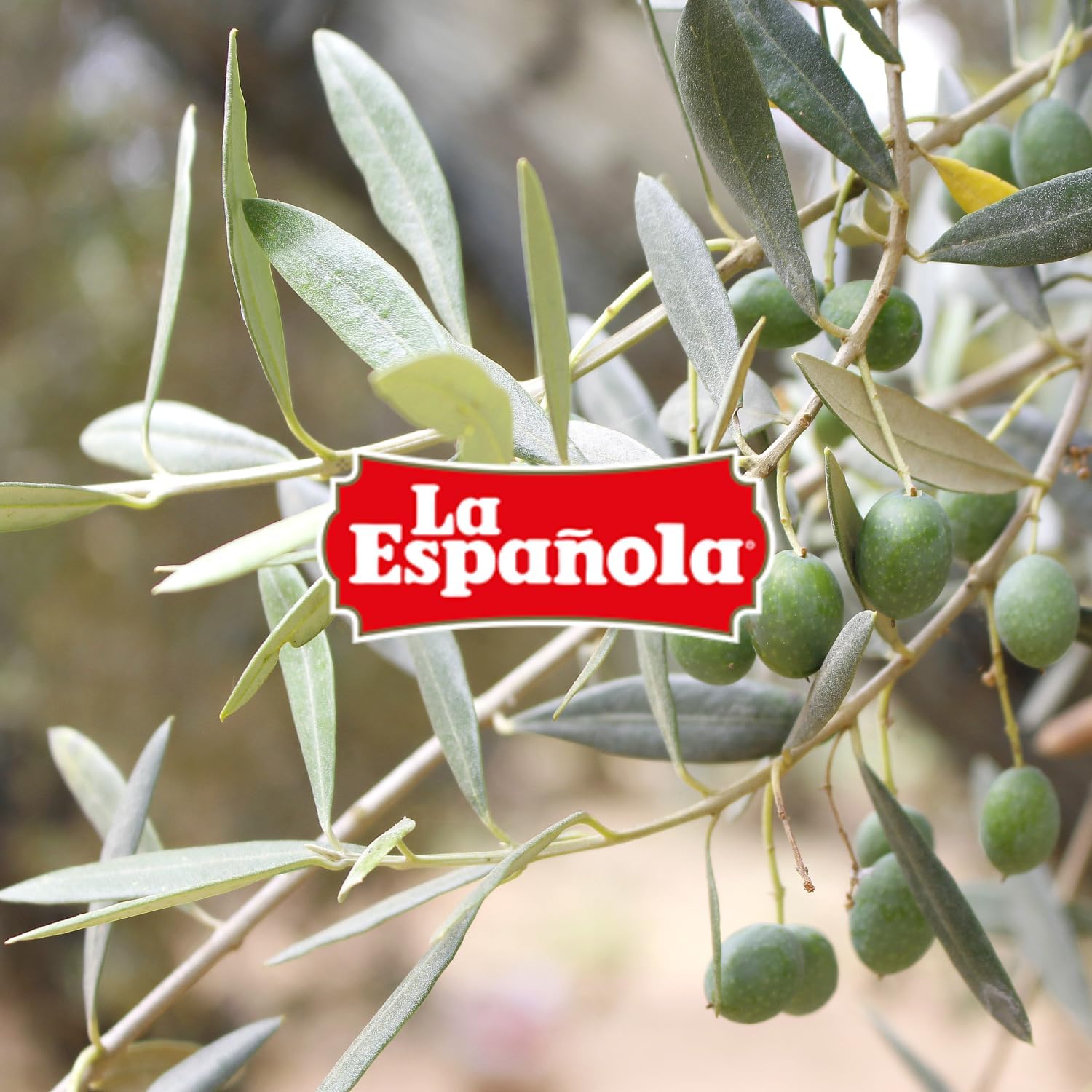 LA ESPAÑOLA - Natives Olivenöl Extra (5L) 3