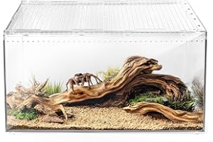 AZV Reptile Terrarium Tank,Versatile Enclosure for Leopard Crested Gecko,Lizard Cage,Spider Starter Kit,Hermit Crab Habitat,Tarantula Cribs,Perfect Aquarium for Snake,Frogs,Snails,Insects,Small Pets