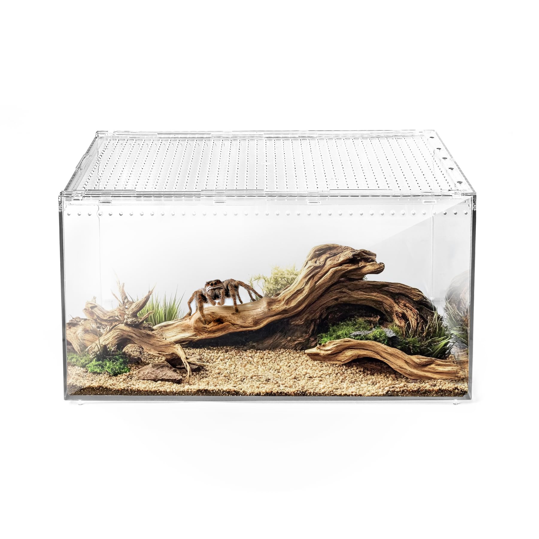 Photo 1 of AZV Reptile Terrarium Tank,Versatile Enclosure for Leopard Crested Gecko,Lizard Cage,Spider Starter Kit,Hermit Crab Habitat,Tarantula Cribs,Perfect Aquarium for Snake,Frogs,Snails,Insects,Small Pets