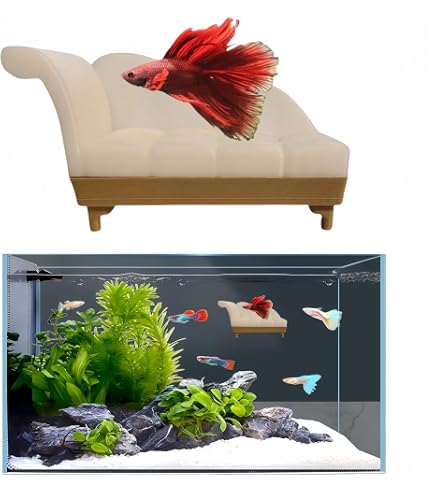 Túnel Y Hamaca Para Peces Betta - Decoración De Acuario Segura Y No Tóxica, Con Ventosas, Refugio Para Peces Pequeños Y Gambas