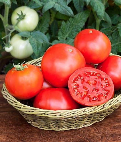 goliath tomato seeds