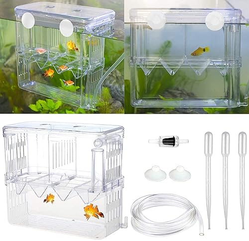 Senzeal Aquarium Fish Breeder Box Plastic Fish Isolation Breeding Box  Hatching Incubator for Baby Shrimp Clownfish Guppy in Oman Whizz Breeding 