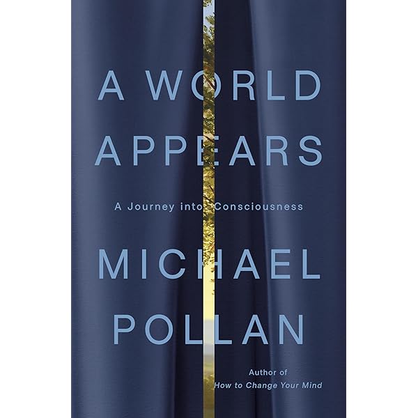 The Pale Blue Data Point: An Earth-Based Perspective on the Search for  Alien Life: Willis, Jon: 9780226822402: Amazon.com: Books