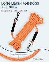 Taglory Training Lead for Dogs 10 m Reflective Nylon Orange view 3