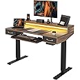 FEZIBO 48 x 24 Inch Height Adjustable Electric Standing Desk with Double Drawers&Keyboard Tray, Stand Up Desk with LED Strips, Sit Stand Desk with Monitor Stand, Rustic Brown