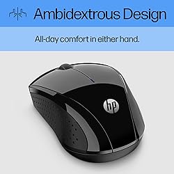HP X3000 G2 Wireless Mouse - Ambidextrous 3-Button