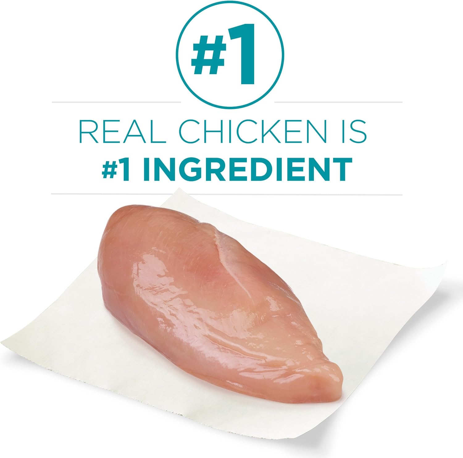 Purina ONE Natural Dry Kitten Food, Healthy Kitten - 16 lb. Bag : Dry Pet Food : Pet Supplies