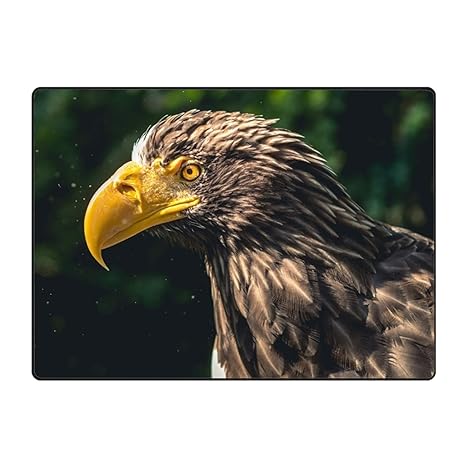 Amazon Com Starfactr Custom Eagle Bird Doormat Door Welcome Mat