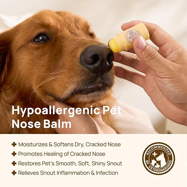 HICC PET NOSE BALM FOR DOG & CAT – MOISTURIZES REPAIRS SOOTHES DRY/CRACKED NOSE – DOGS SNOUT SOOTHER WITH FERMENTED COCONUT OIL, DOG NOSE BUTTER DAILY CARE & PROTECTION – ALL NATURAL & LICK SAFE