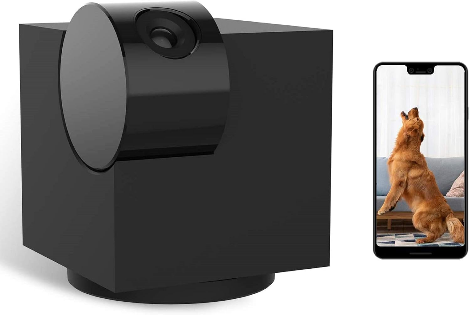 two way video pet monitor