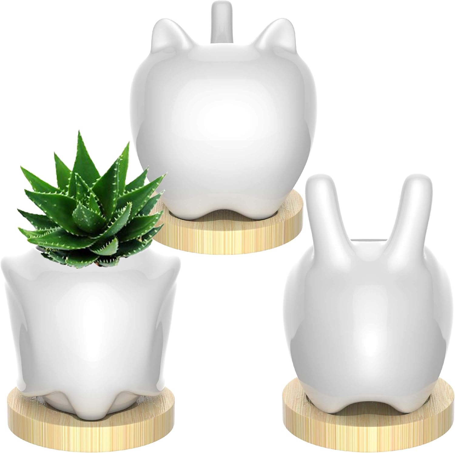 IVORMOSS Animal Succulent Planter - White Ceramic Garden Pots with Insert to Prevent Soil Loss, Drainage Opening & Bamboo Tray - Cute Elephant Bunny & Cat Planter Set, Macetas para Suculentas: Kitchen & Dining