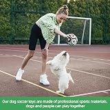HETOO Interactive Dog Football Ball Toy 5 Inch Water Floating PU Ball view 8