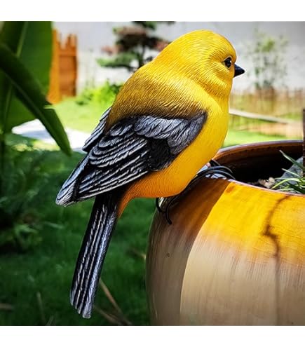 Amazon.com : Fat Goldfinch by Michael Carr Designs - Outdoor Bird
