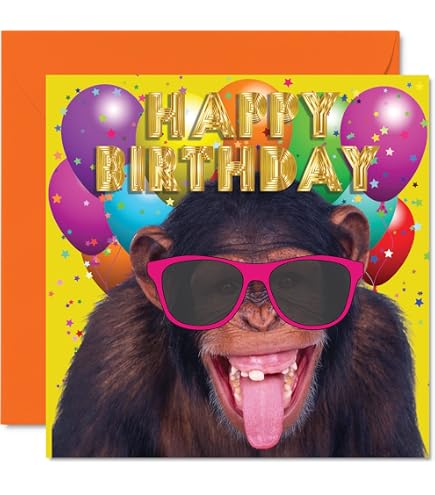 Edition Seidel Premium Square Birthday Card With Envelope Greeting Card Happy Birthday Billet Animal Card With Funny Sayings Man Woman Thick Cool Frog Humor (GQ177 SW024