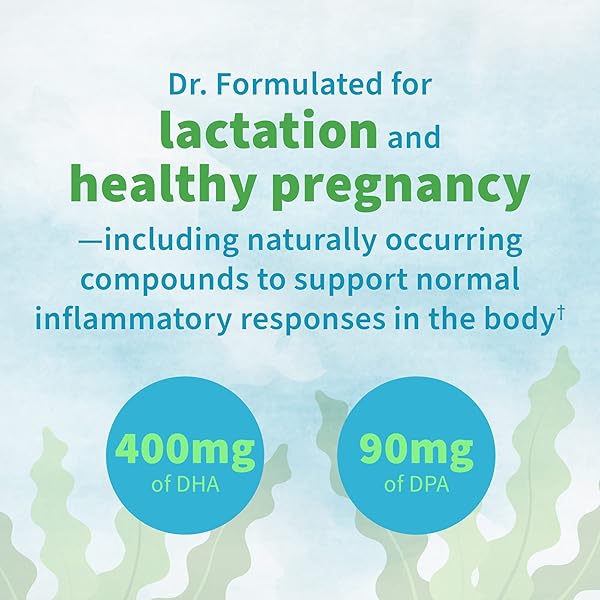 GARDEN OF LIFE DR. FORMULATED PRENATAL VEGAN DHA – CERTIFIED VEGAN OMEGA 3 SUPPLEMENT WITH 400MG DHA + DPA FROM ALGAL OMEGA 3 IN TRIGLYCERIDE FORM, NON-GMO ALGAE OMEGA 3 FOR VEGANS, 30 SOFTGELS
