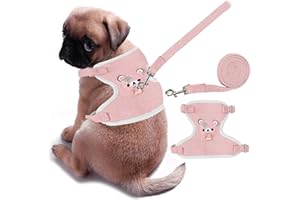 Tkxjry Dog & Cat Harness Leash Set, with 1.2 M Leash, Adjustable Soft Cat Vest Harness, Rabbit Harness for Walking Escape Pro
