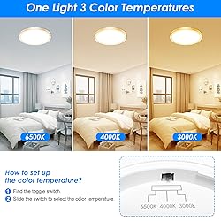 Peasur 12 Inch LED Ceiling Light Gold, 24W Slim