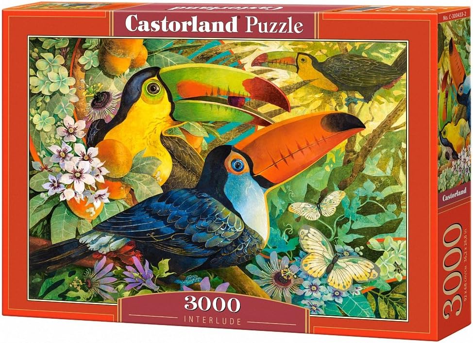 Castorland Interlude 3000 pcs Puzzle Rompecabezas (Puzzle