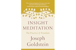 Insight Meditation: The Practice of Freedom