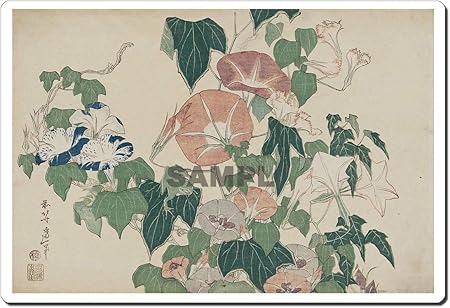 Amazon Co Jp 浮世絵シール 4019 葛飾北斎 朝顔に雨蛙 245mm X 166mm U245s 4019 おもちゃ