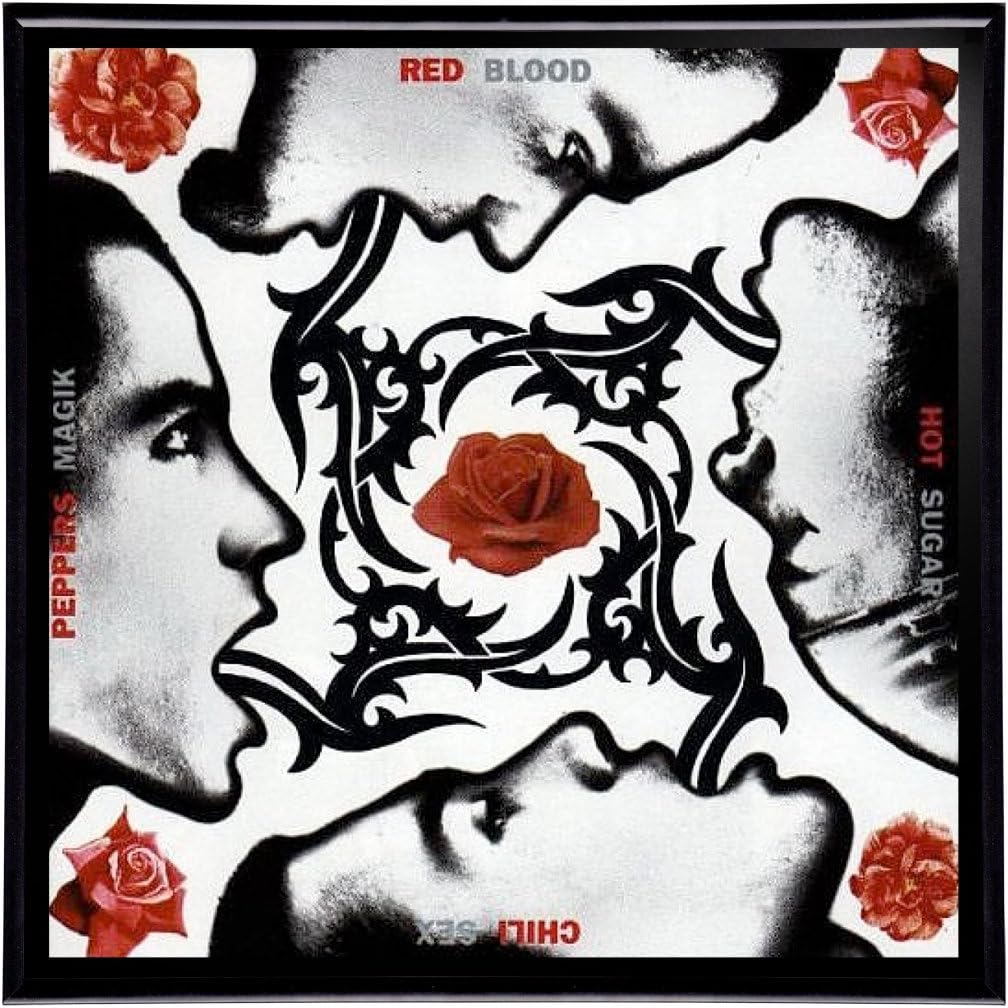 Red Hot Chili Peppers Blood Sugar Sex Magik Framed 12" LP Album Cover Artwork includes Vinyl Record