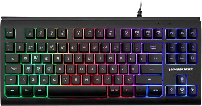Lumsburry 88-key UK Layout Compact Wired Keyboard RGB Backlit 12 Shortcuts