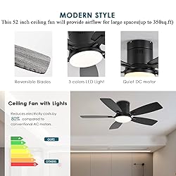 Ayaoty Ceiling Fans with Lights, 42 inch Low