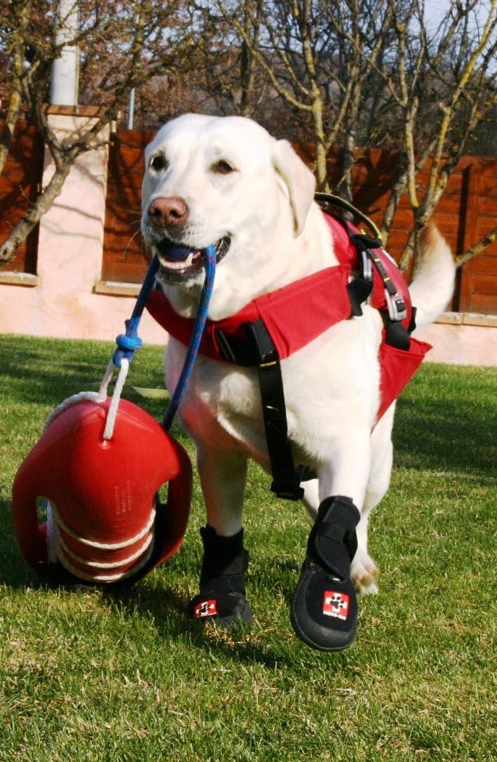 thera paw boots for greyhounds