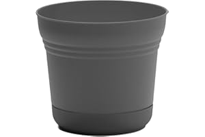 Bloem Saturn Round Planter with Saucer Tray: 12" - Charcoal - Durable Plastic Pot, Matte Finish, Removable Saucer, for Indoor