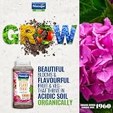 Phostrogen Ericaceous Plant Food 800g Iron Rich Organic for Acid Loving Plants view 3