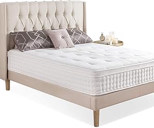 ZINUS 12 Inch Euro Top Pocket Spring Hybrid Mattress / Pressure Relief / Pocket Innersprings for Motion Isolation / Bed-in-a-Box, Queen