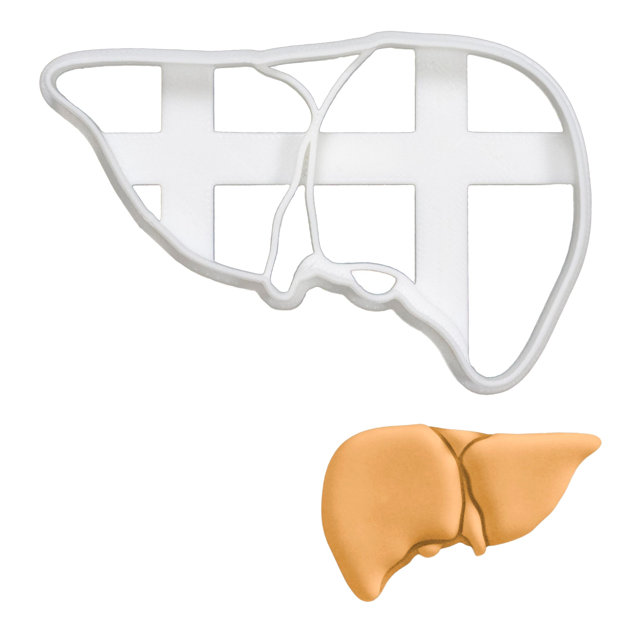BAKERLOGY Liver Cookie Cutter - Detailed Biscuit Cutter Design for Baking and Crafts, Ideal on Fondant, Dough, Clay