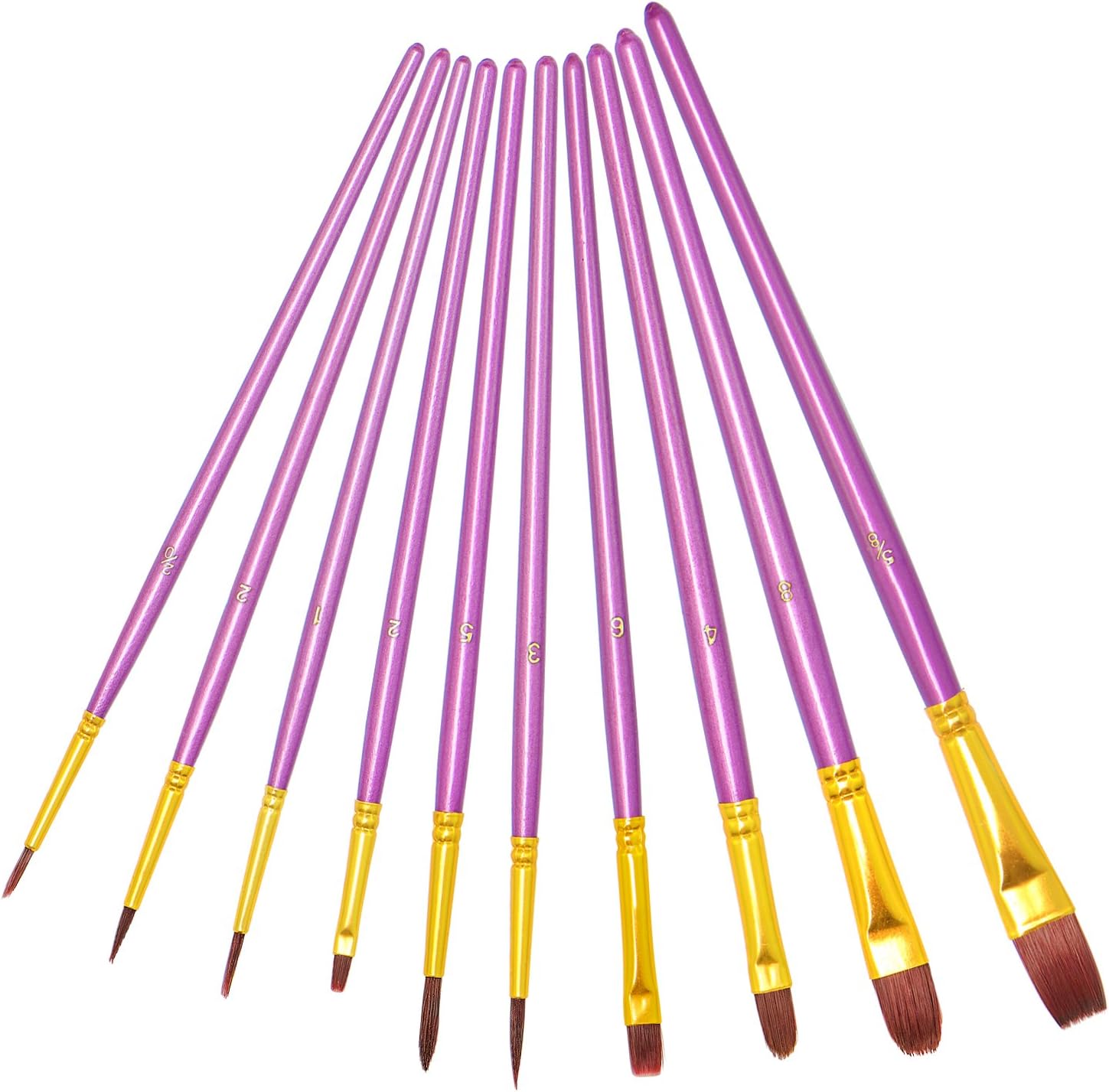 Purple Paint Brushes, heartybay Paint Brush Set Round Pointed Tip Nylon Hair Artist