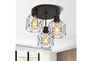 3 Lights Industrial Ceiling Light Fixtures,Iron Cage Ceiling Lamp Pendant Lighting,3-Light Close to Ceiling Light Fixtures, M