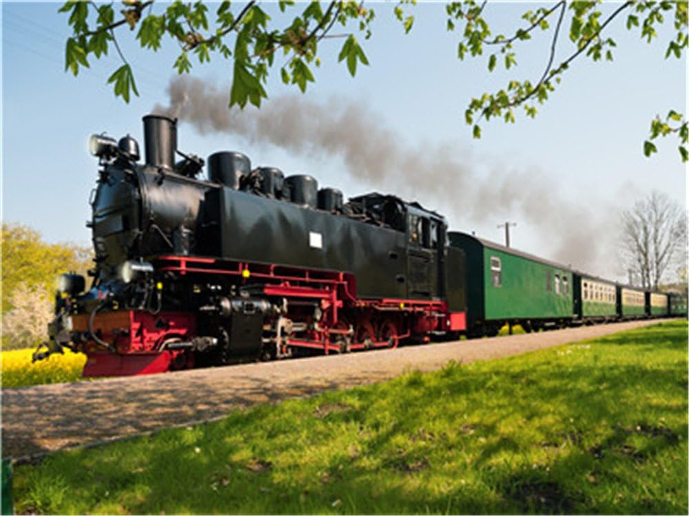 Ölgemälde zum Selbermachen, Malen nach Zahlen, Set für Erwachsene und