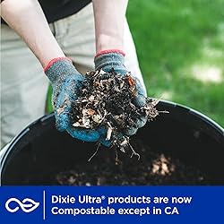 Dixie Ultra, Large Paper Bowls, 20 Oz, 26 Count