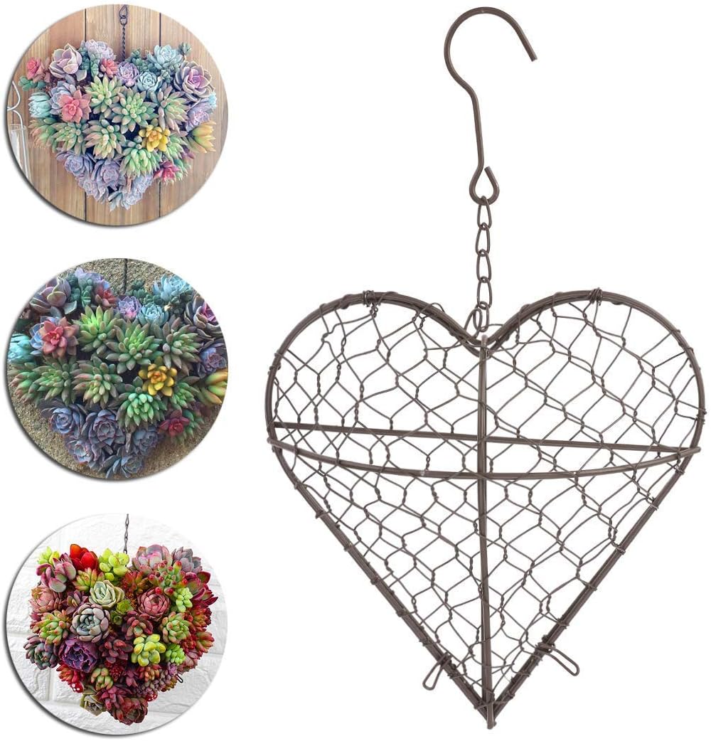 Epaynetwork EPNT 1pc Creative Heart Shaped Hanging Planters Flower Pots Wreath Frame Iron Wall Succulent Plants Basket Home Decor