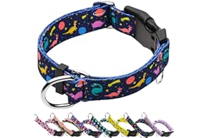 Fidohug Martingale Collar for Dogs with Buckle No Pull Adjustable Nylon Limited Slip Training Dog Collars (Blue Dinosaur, Large)