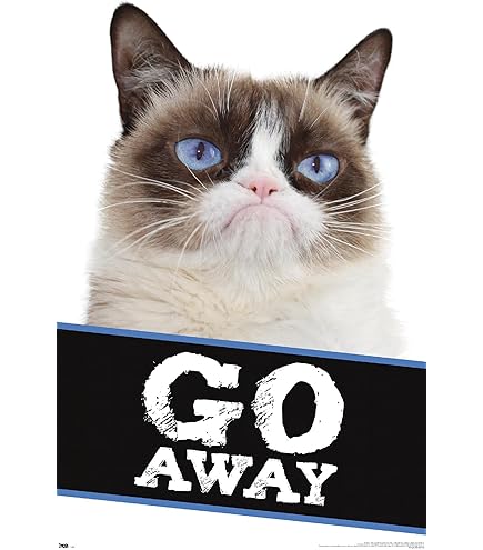 気難し屋の猫 Ultra Pro Grumpy Cat 気難し屋の猫 Ultra Pro Grumpy Cat