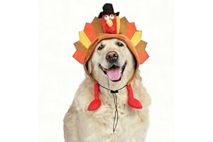 MuYaoPet Thanksgiving Dog Turkey Costume Hat Cap,Halloween Pet Cat Costume Outfit Cosplay for Small Medium Large Dogs,Matching Dog and Owner Hat Outfits (Turkey, Medium)