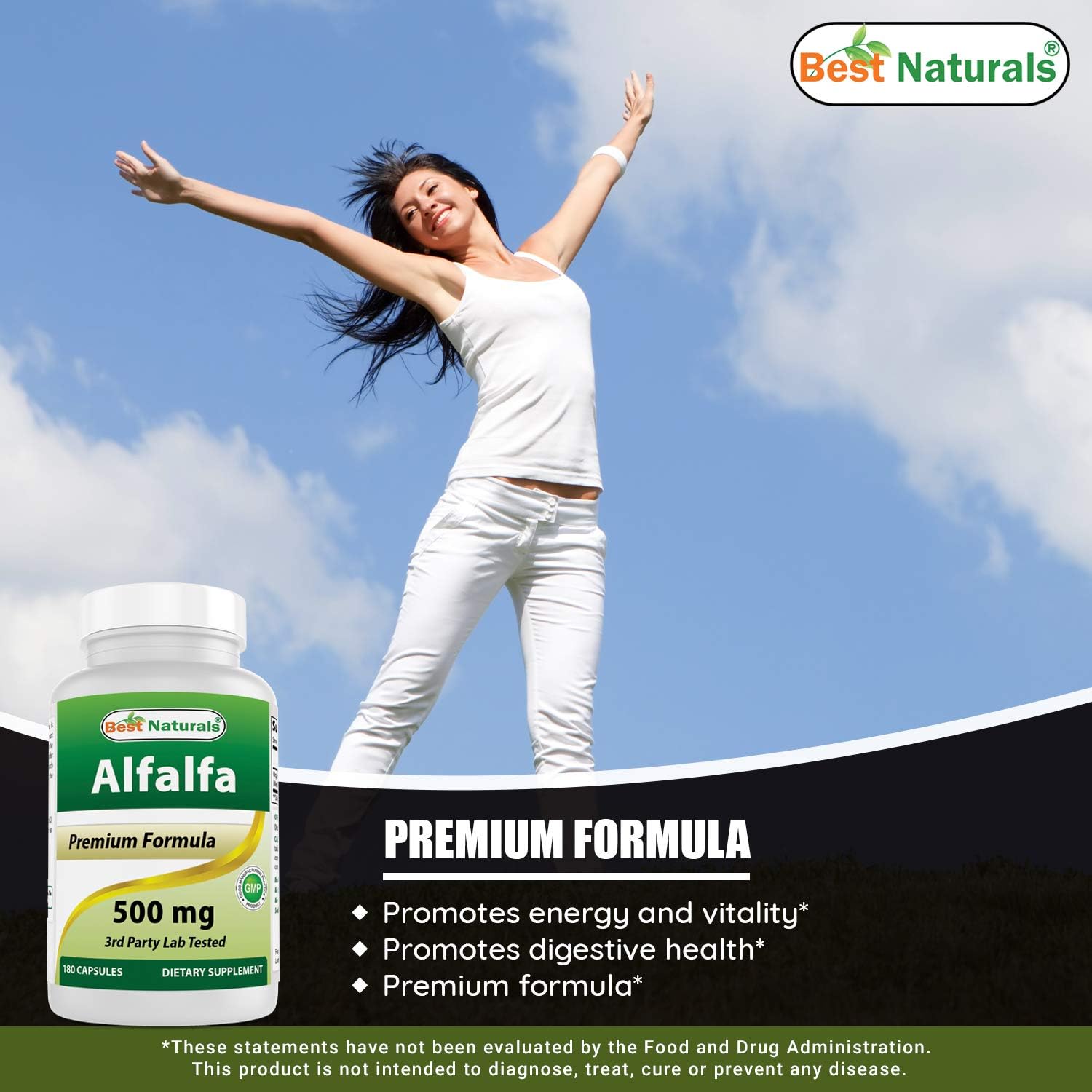 Best Naturals Alfalfa Green Super Food 500 mg 180 Capsules: Health & Personal Care