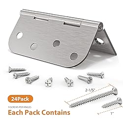 AmzGod 24 Pack Brushed Nickel Door Hinges, 4 Inch