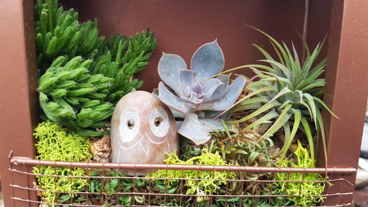 Stone Age Creations OW-C2 Colored Boulder Owl, 2" : Garden & Outdoor