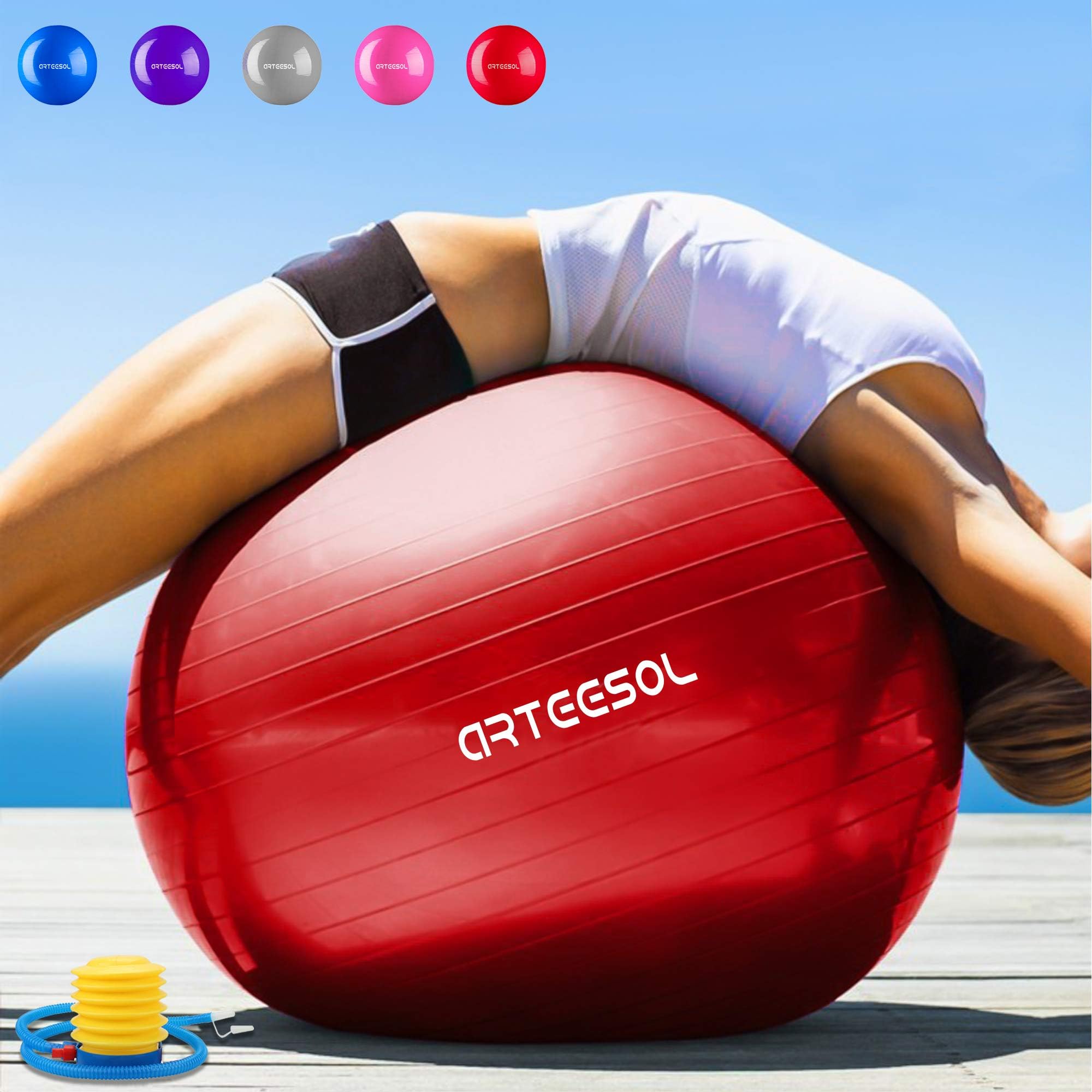 Arteesol Exercise Ball 45cm / 55cm / 65cm / 75cm Anti-burst Anti-slip Yoga Swiss Ball Birthing Ball Quick Pump Fitness Gym Yoga Pilates Core Training Physical Therapy