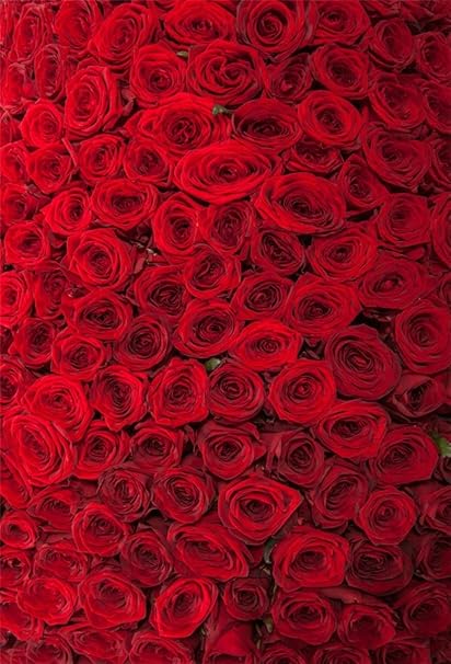 Amazon Com Aofoto 5 X 7ft Rosas Rojas Telon De Fondo Romantico Flores Fotografia Antecedentes Novia Novia Amantes Pareja Retrato Artistico Boda Photo Shoot Studio Props Video Drop Drape Papel Pintado De